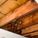 What to Do When You Discover a Leak